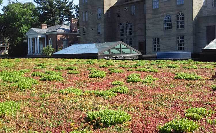 museum green roof design firm in worcester pennsylvania