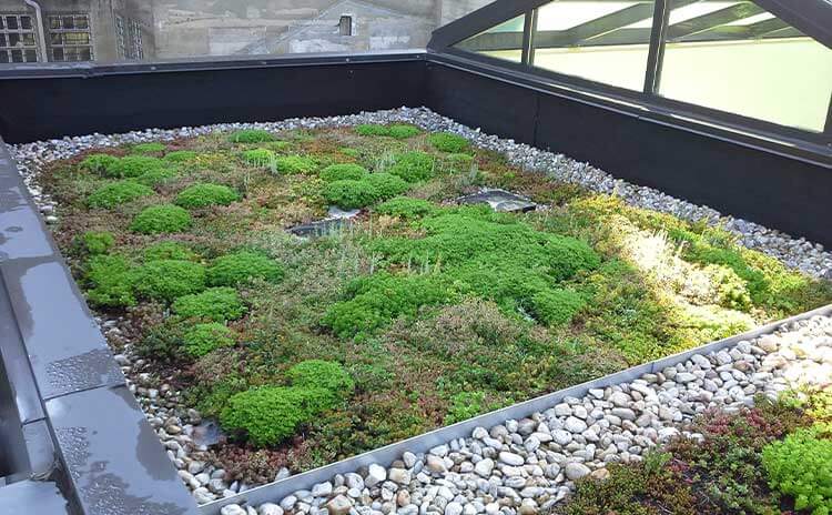 museum green roof design firm in worcester pennsylvania 2