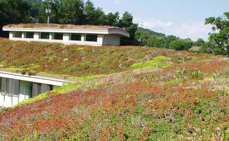 museum green roof architect design firm in worcester pennsylvania 