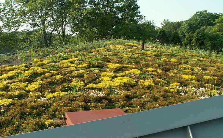 museum green roof architect design firm in worcester pennsylvania 2
