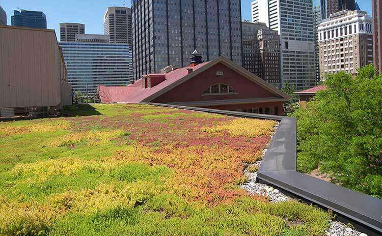 museum green roof architect design firm in worcester pennsylvania 4
