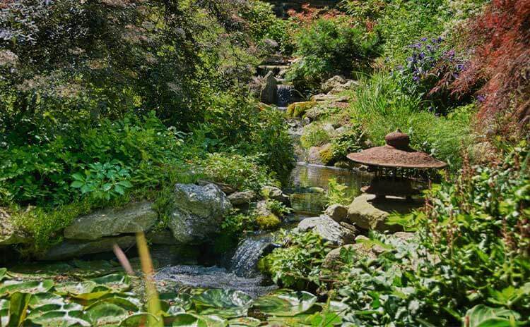 water garden design & construction firm in worcester pennsylvania